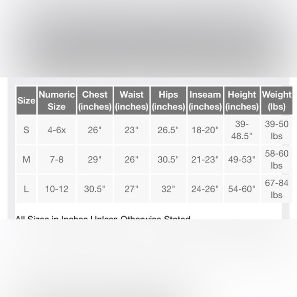 NWT Disneys princess Belle from beauty & the beast dress 4-6x little girl - Picture 7 of 7